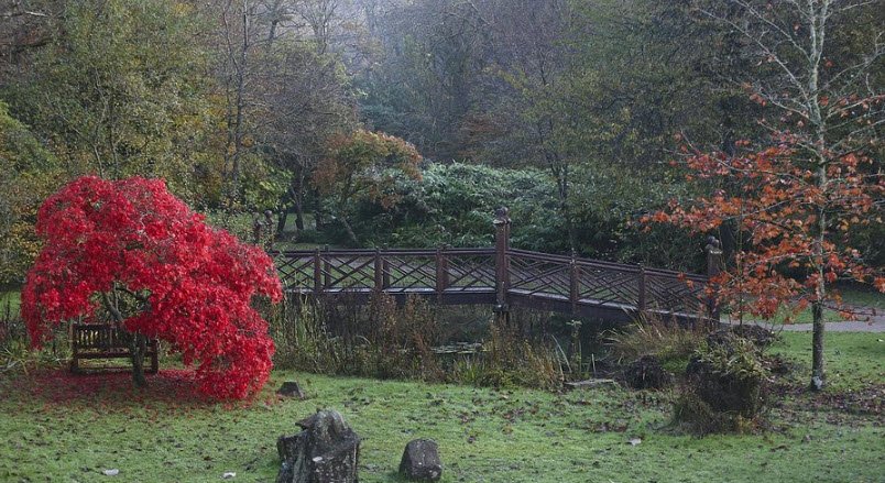 Bryngarw Country Park, United Kingdom